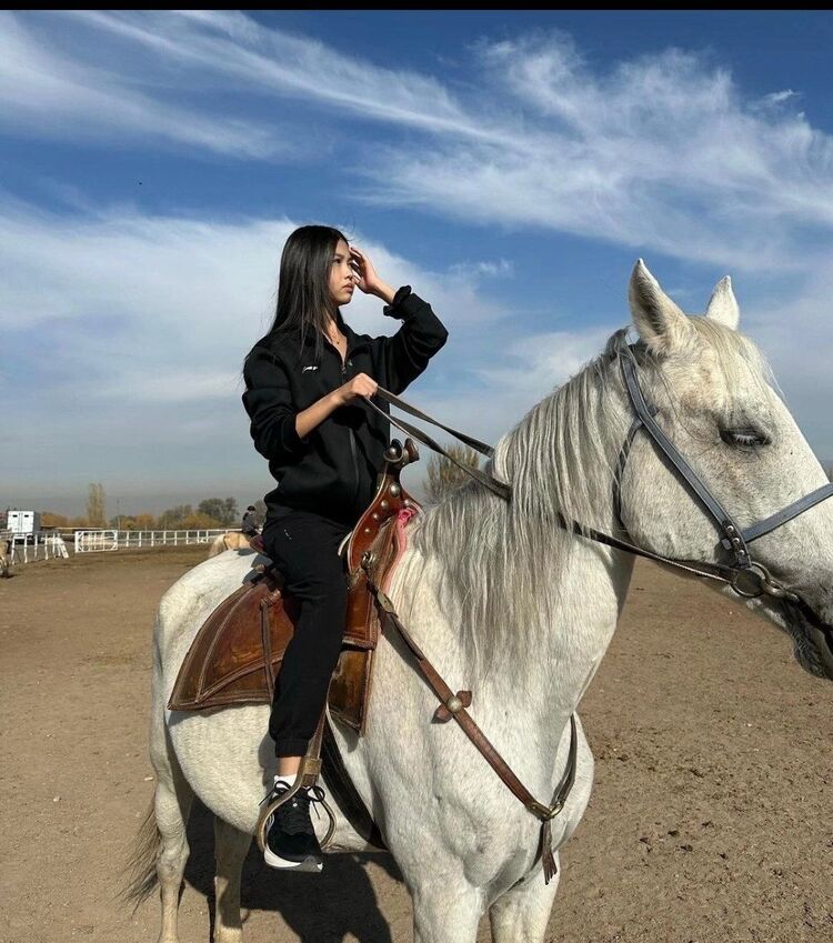 ���������� ������, ���� ������� �������, 23 ����, ������������ ��� ������, ����� � ���������