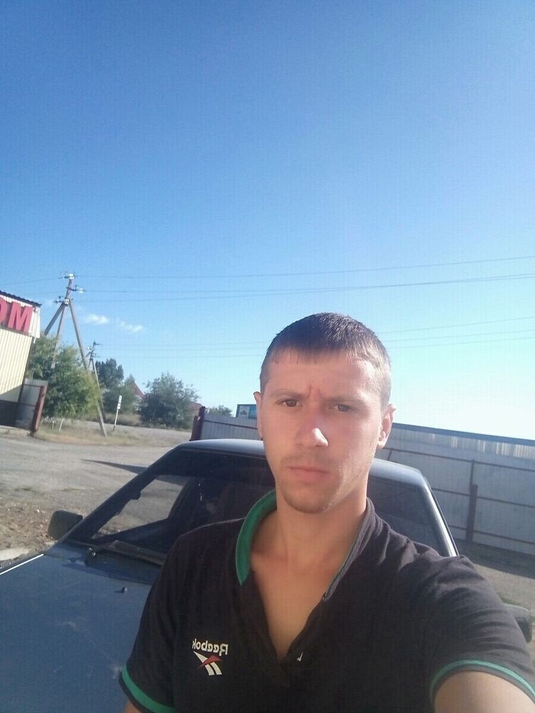  20288695  , 29 ,    