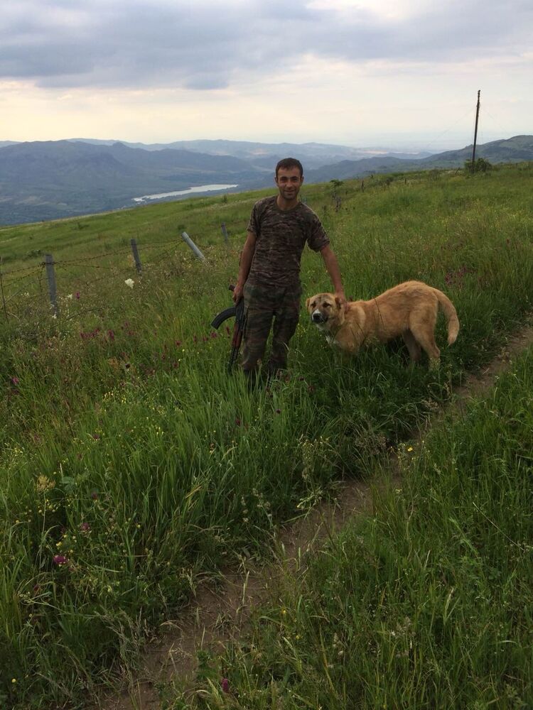 ���� 23435115 ������� Arsen, 35 ���, ���� ���������� � ����������