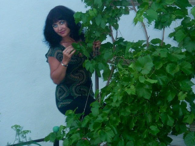 ���������� �����, ���� ������� �������, 56 ���, ������������ ��� ������, ����� � ���������, c�������� ���������