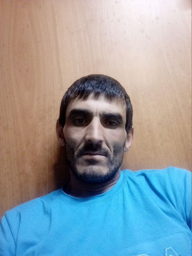  17666265  , 41 ,    