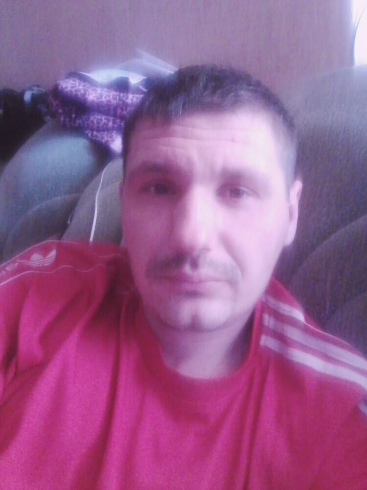  14383685  Vitek, 36 ,    