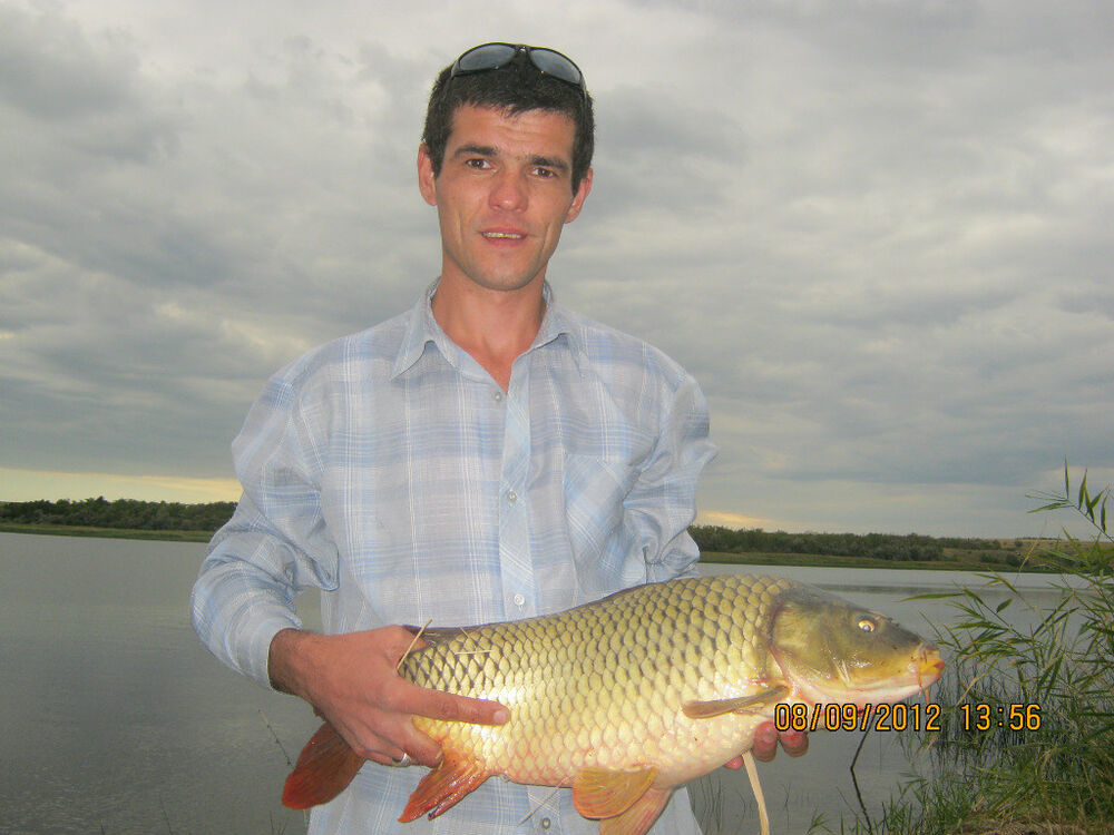 ���������� ���������, ���� ������� ������, 46 ���, ������������ ��� ������, ����� � ���������, c�������� ���������