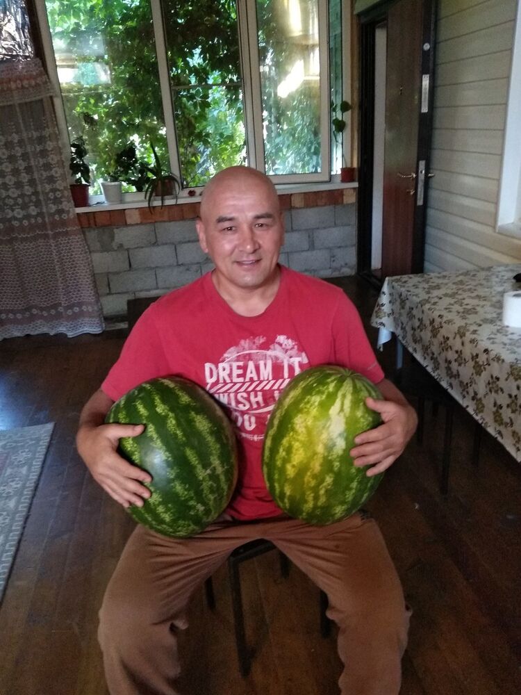 ���������� ������, ���� ������� ������, 52 ����, ������������ ��� ������, ����� � ���������, c�������� ���������, ���������