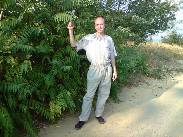  --,   , 41 ,   ,   