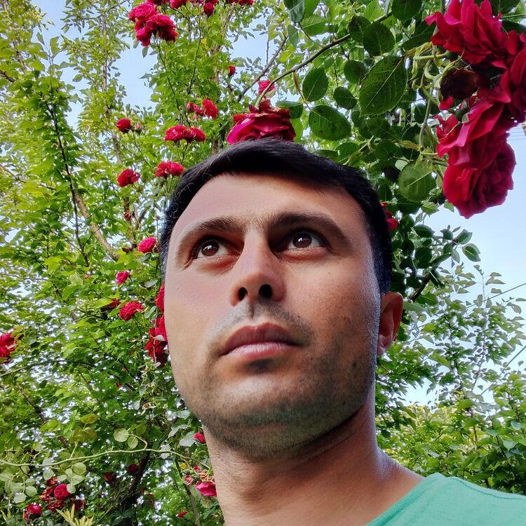 ���� 23026895 ������� �����, 40 ���, ���� ���������� � ����