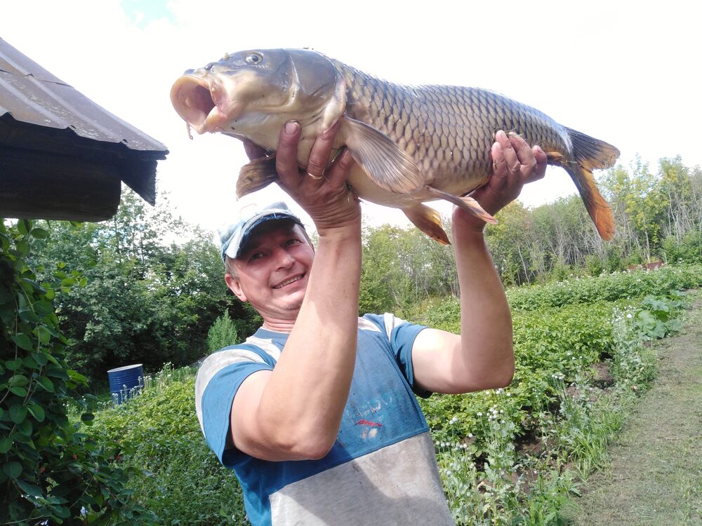 ���������� ������ ��������, ���� ������� ������, 50 ���, ������������ ��� ������, ����� � ���������, c�������� ���������, ���������