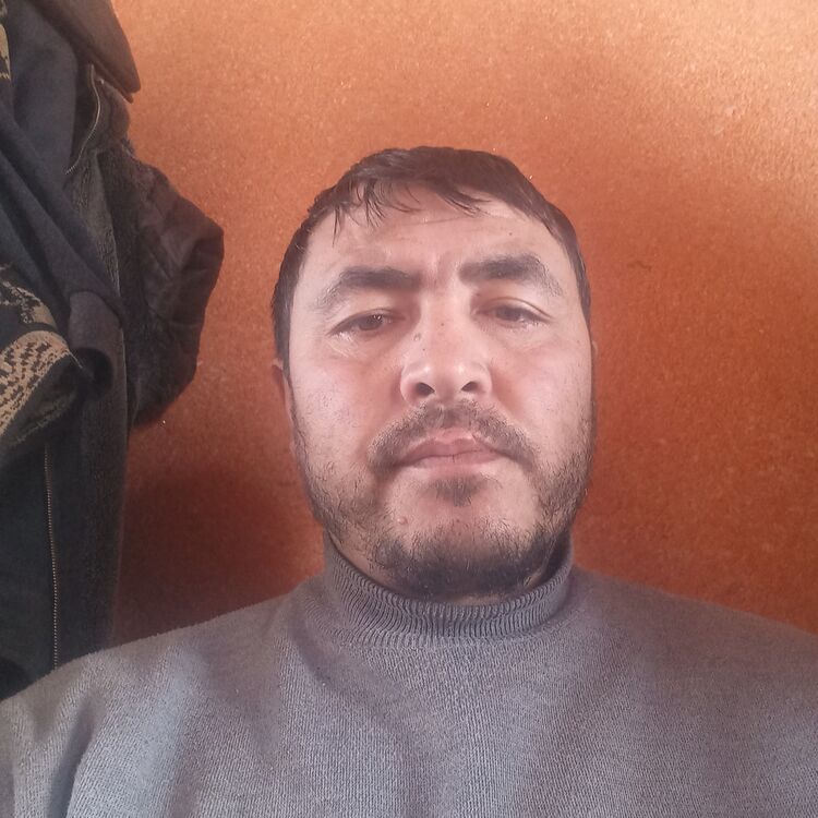  32652255  , 41 ,    