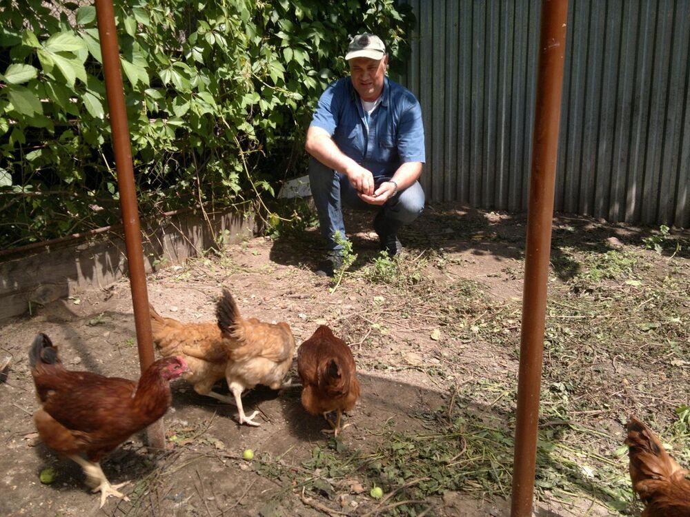 ���������� ������, ���� ������� �����, 56 ���, ������������ ��� ������, ����� � ���������, c�������� ���������