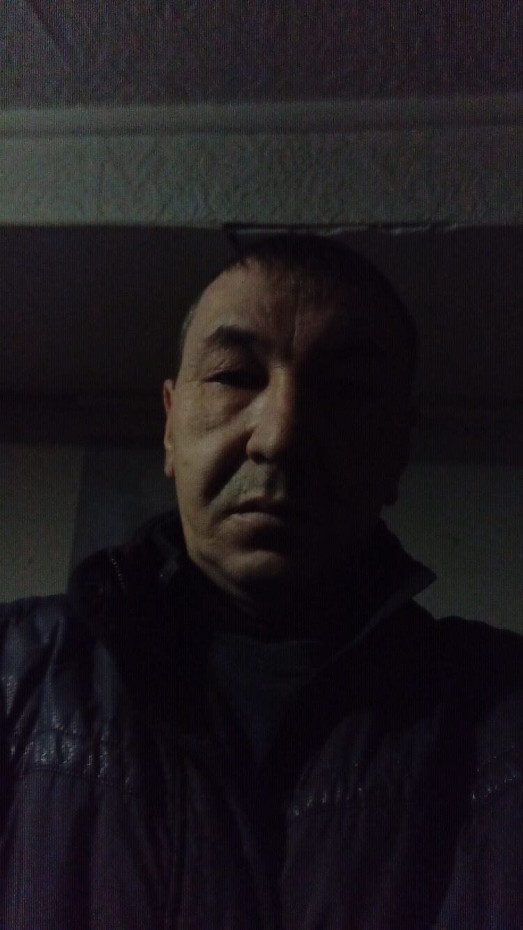  31137795  , 50 ,    