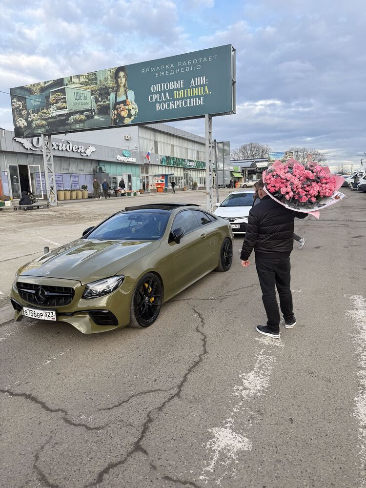 ���������� ���������, ���� ������� ���������, 37 ���, ������������ ��� ������, ����� � ���������, c�������� ���������, ���������