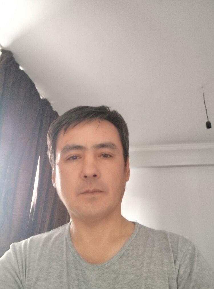  42255165  , 43 ,    