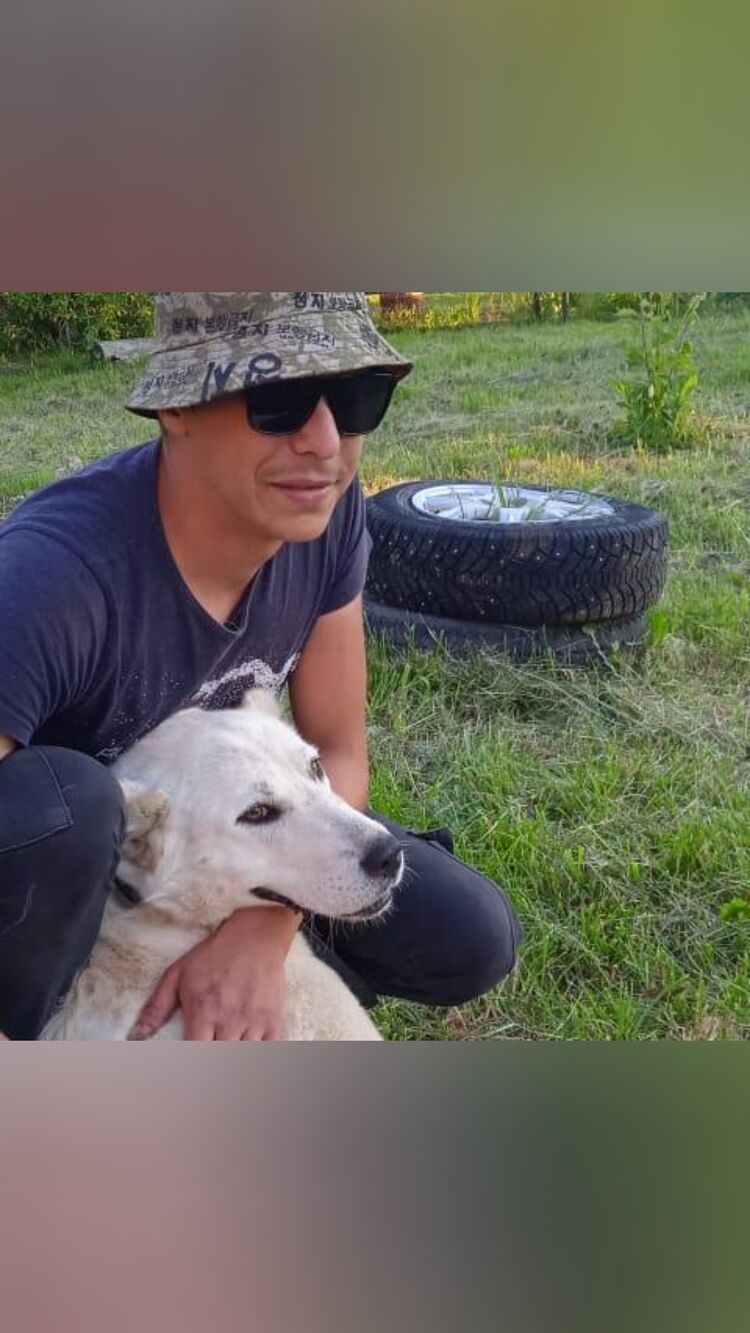 ���� 33317245 ������� ��������, 34 ����, ���� ���������� � �������