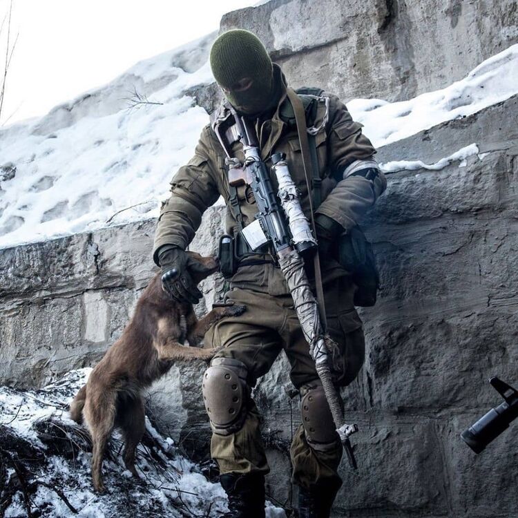 ���� 26921125 ������� ������, 34 ����, ���� ���������� � ��������������