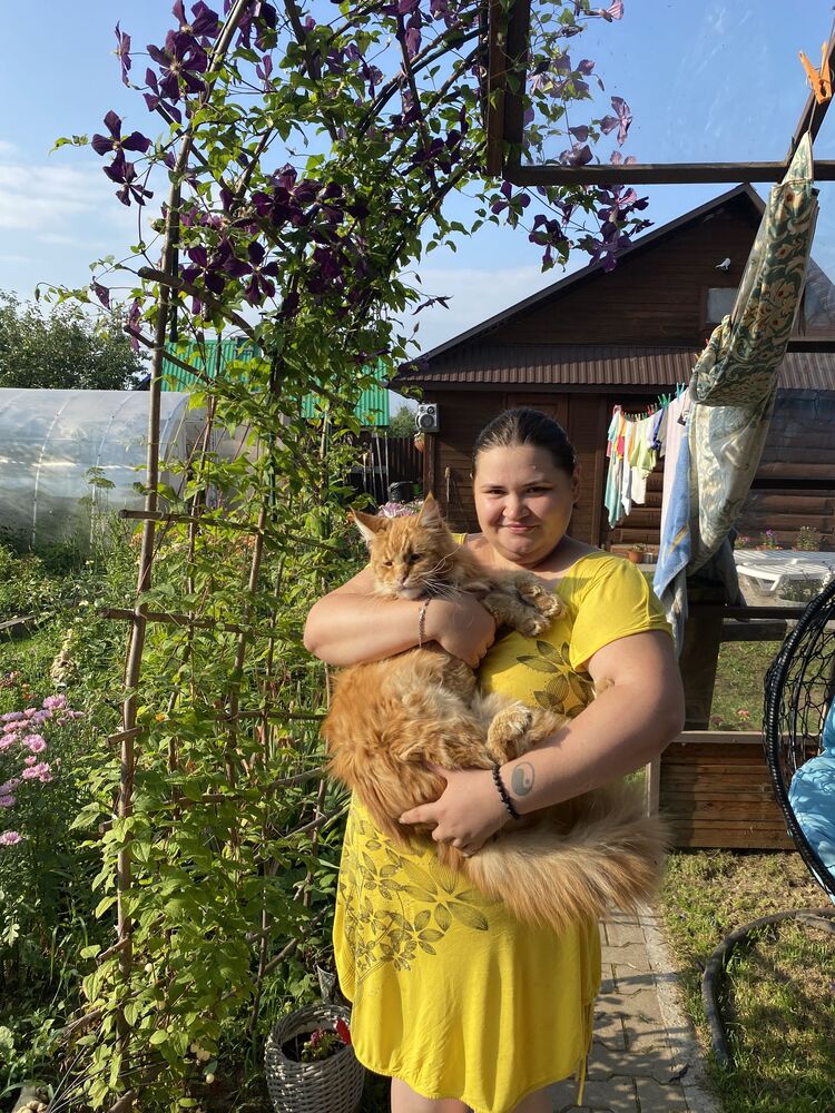 ���������� ���, ���� ������� ���������, 31 ���, ������������ ��� ������, ����� � ���������, ���������