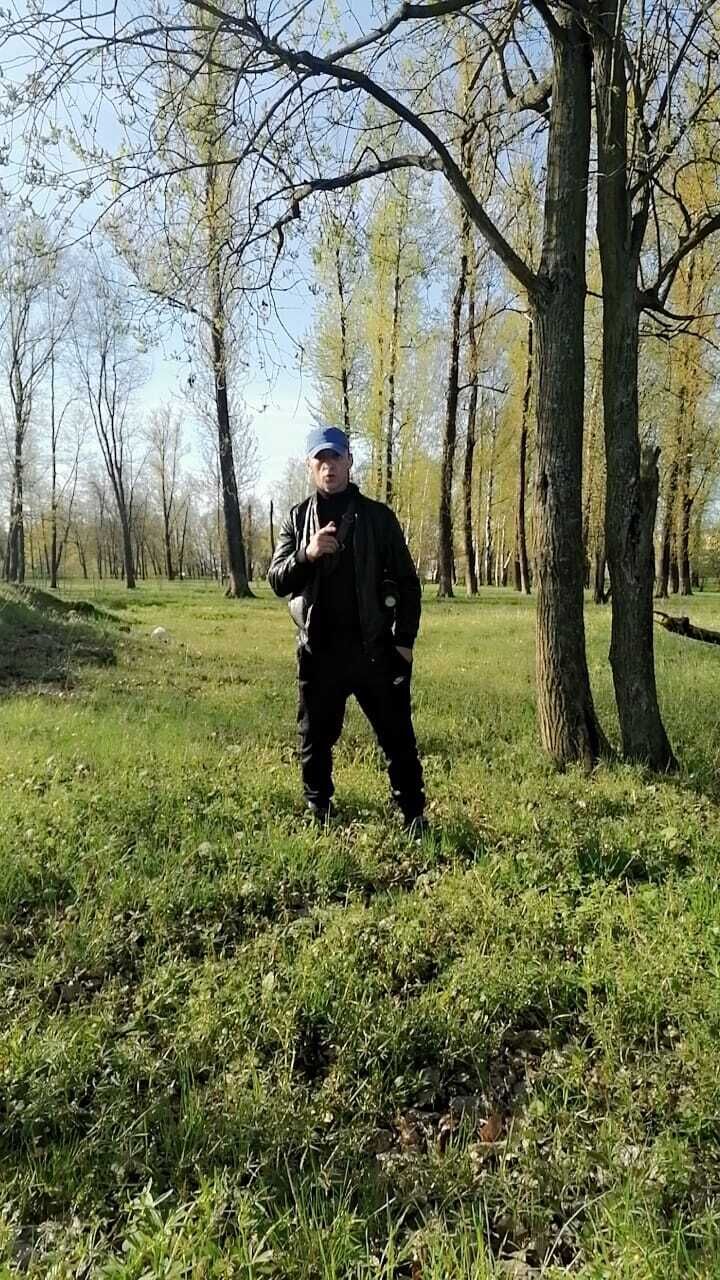  -,   , 43 ,   ,   