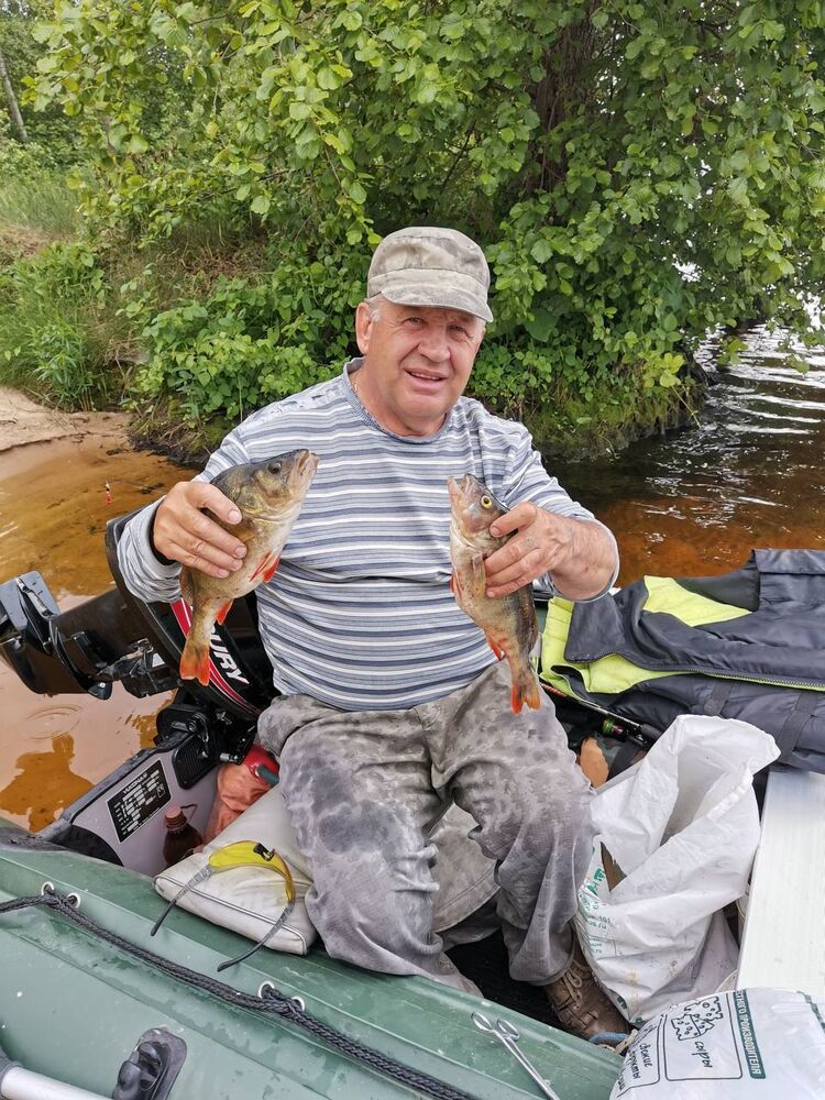  54531135  , 26 ,    -