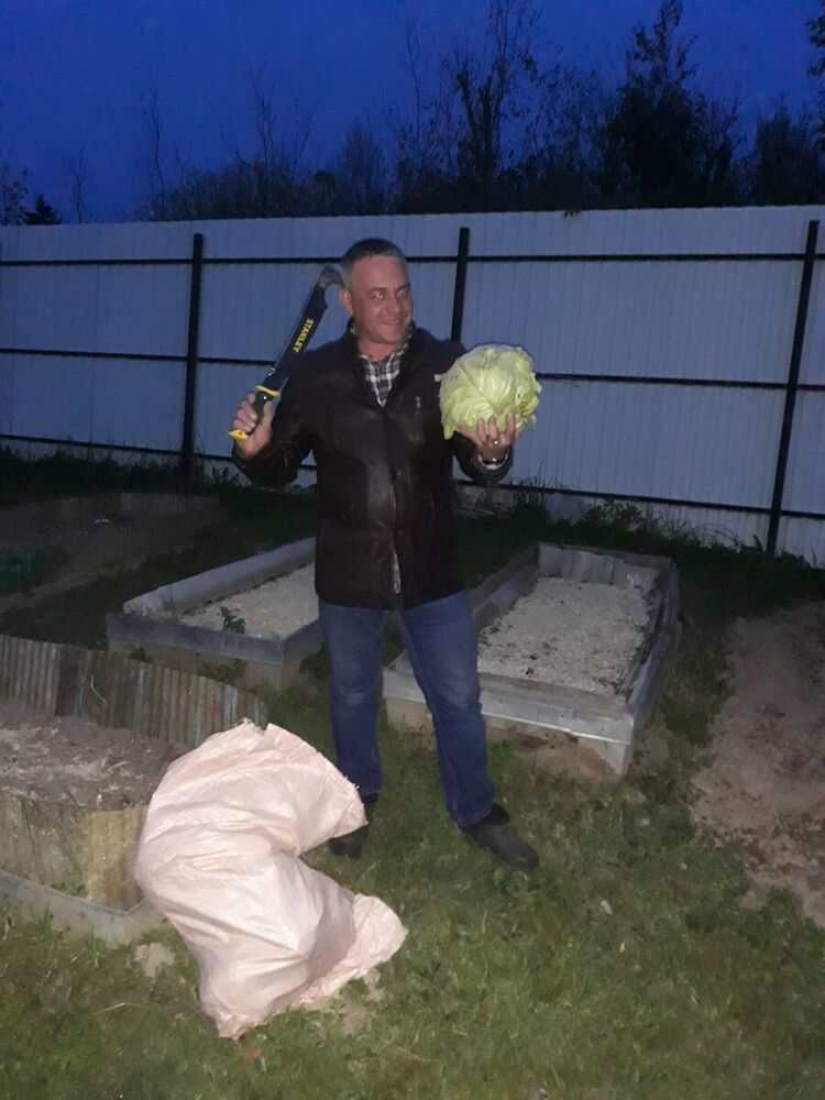  22307215  , 41 ,    