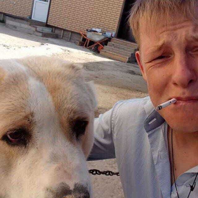  44378795  , 33 ,    