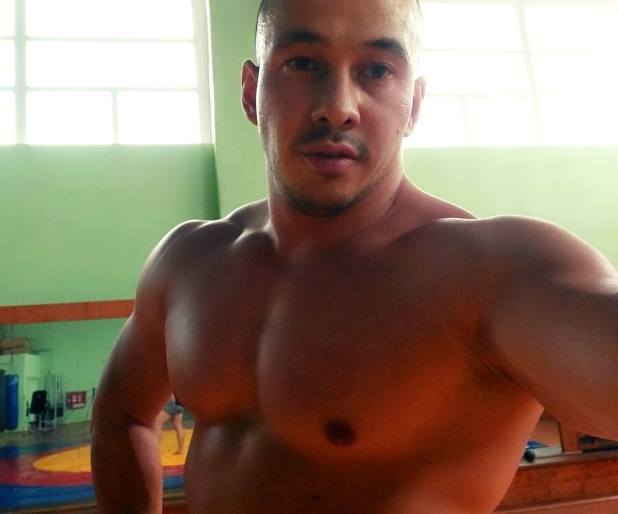  ,   TwstdAnm, 31 ,   ,   