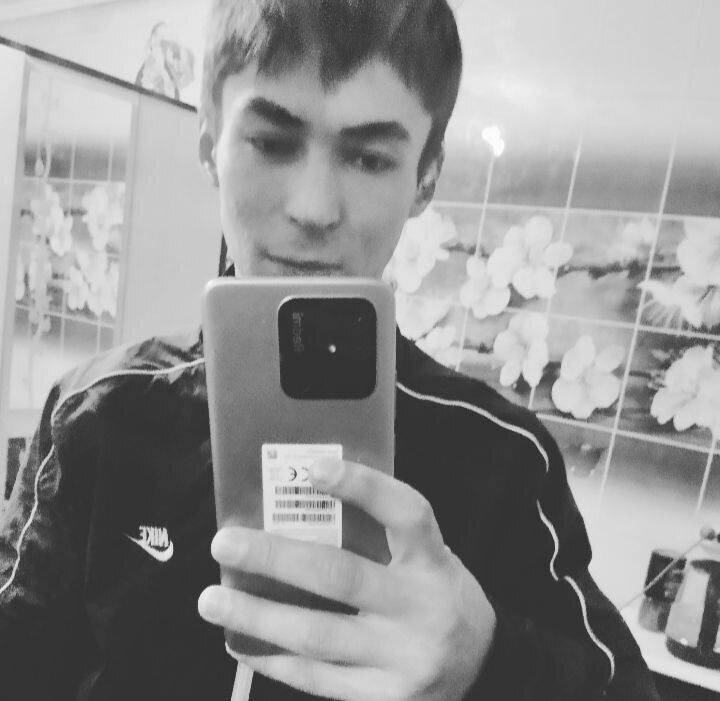  52717975  , 31 ,    