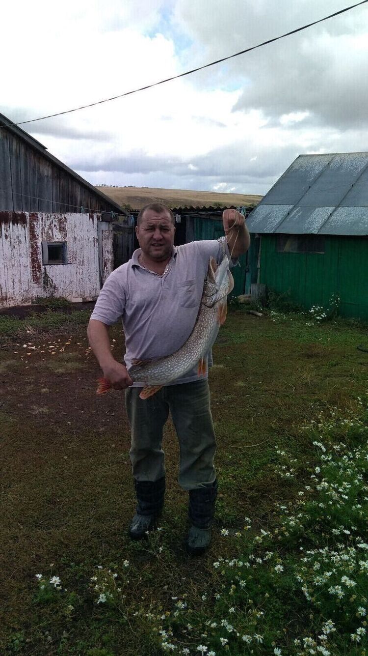 ���������� ������, ���� ������� �����, 52 ����, ������������ ��� ������, ����� � ���������, c�������� ���������