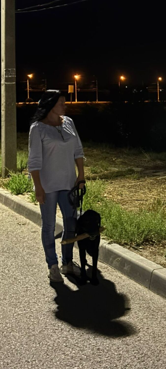 ���������� ���������, ���� ������� ����, 45 ���, ������������ ��� ������, ����� � ���������