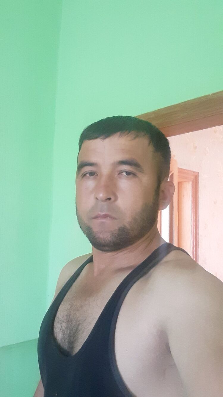  43307045  , 40 ,    