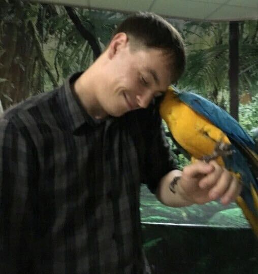 ���� 55458375 ������� ����, 34 ����, ���� ���������� � ����������