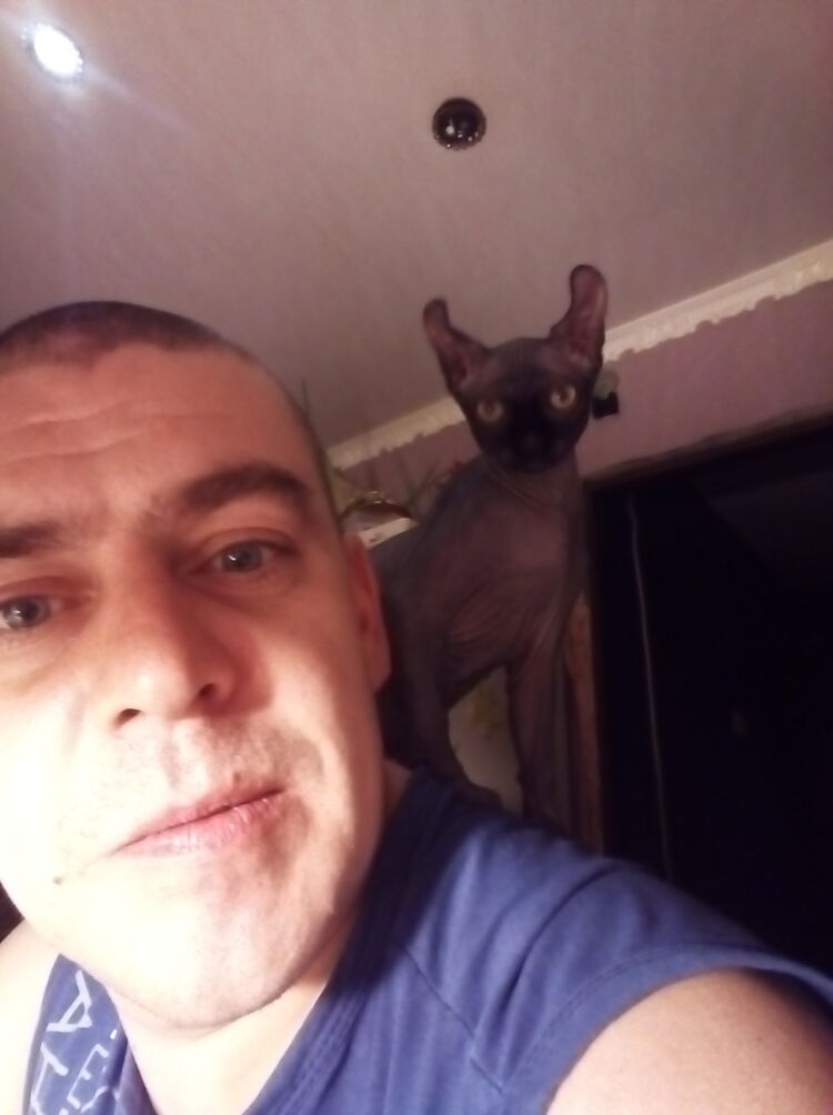  ,   , 41 ,   ,   , c 