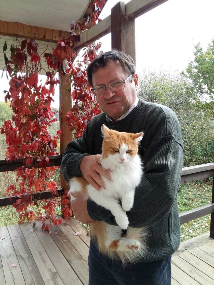  ,   , 62 ,   ,   