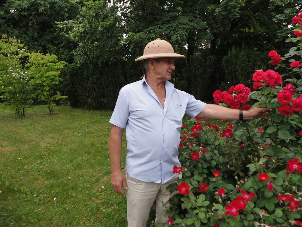 ,   , 54 ,     