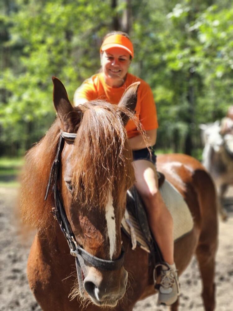 ���������� ������, ���� ������� ����, 43 ����, ������������ ��� ������, ����� � ���������, c�������� ���������