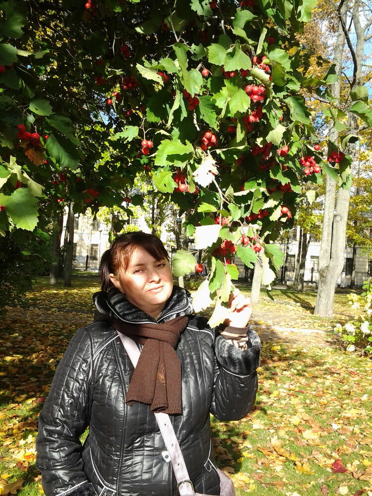 ���������� ������, ���� ������� �����, 51 ���, ������������ ��� ������, ����� � ���������, c�������� ���������