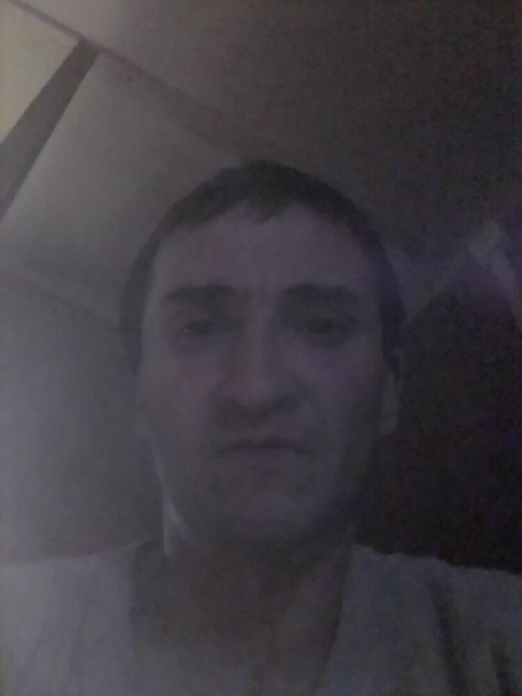  24938535  , 41 ,    