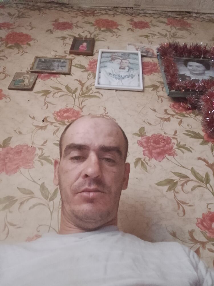  46702375  , 41 ,    