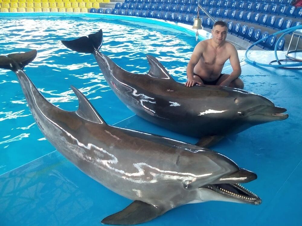 ���������� ����, ���� ������� �����, 45 ���, ������������ ��� ������, ����� � ���������, c�������� ���������