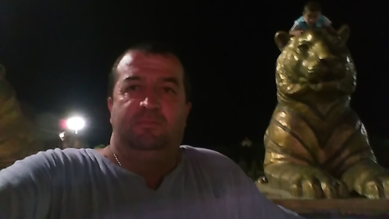  39135355  , 52 ,    
