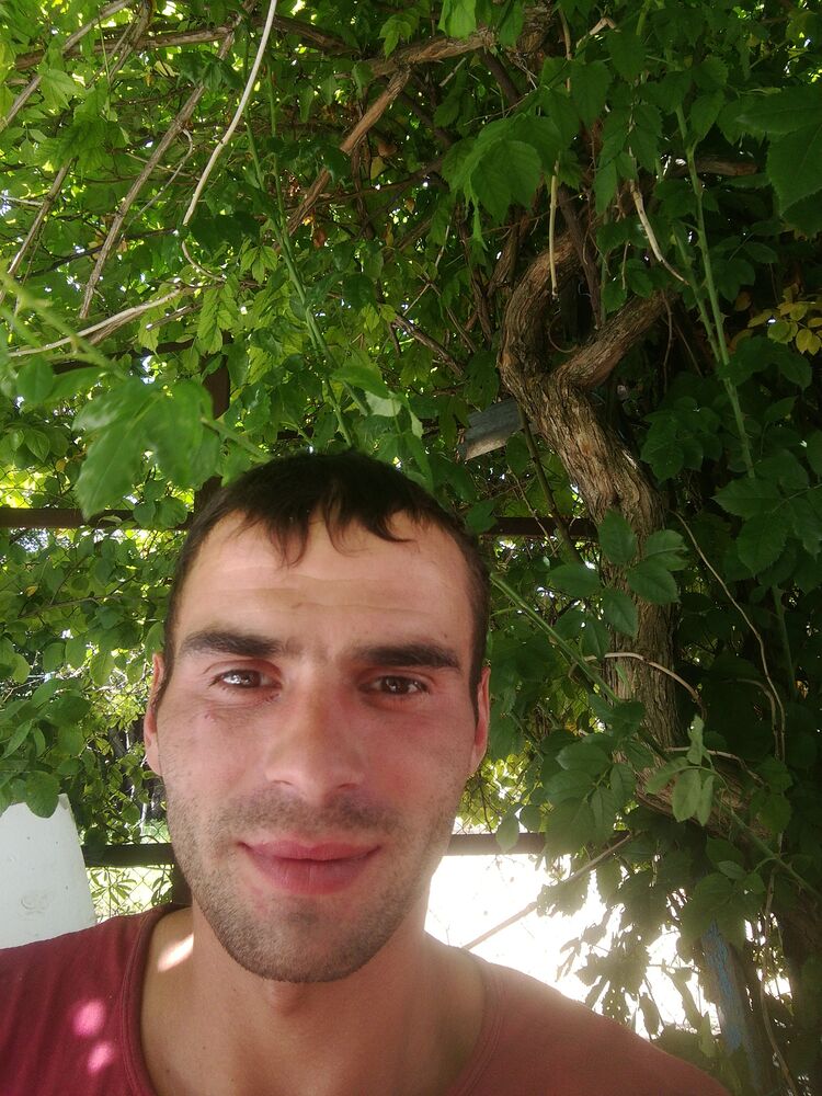 ���� 23131735 ������� �����, 33 ����, ���� ���������� � ����������