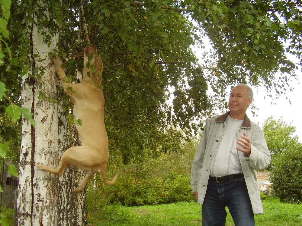  ,   Vlad, 54 ,  