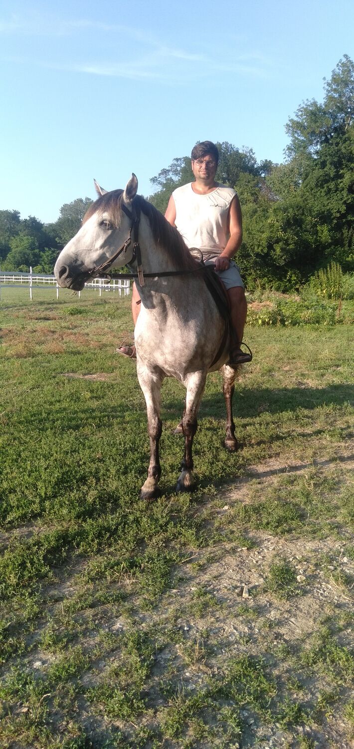 ���� 27840785 ������� �������, 43 ����, ���� ���������� � ���������