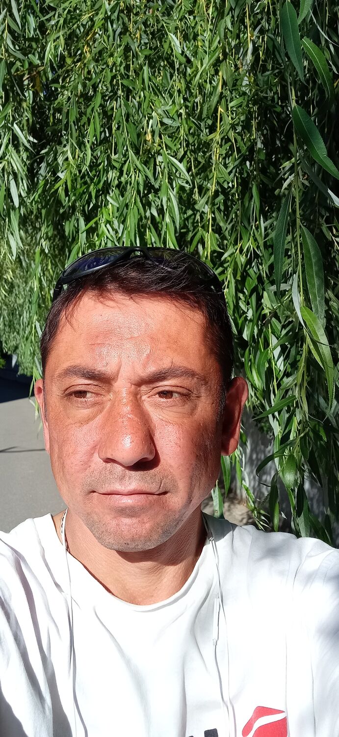  36615045  , 42 ,    