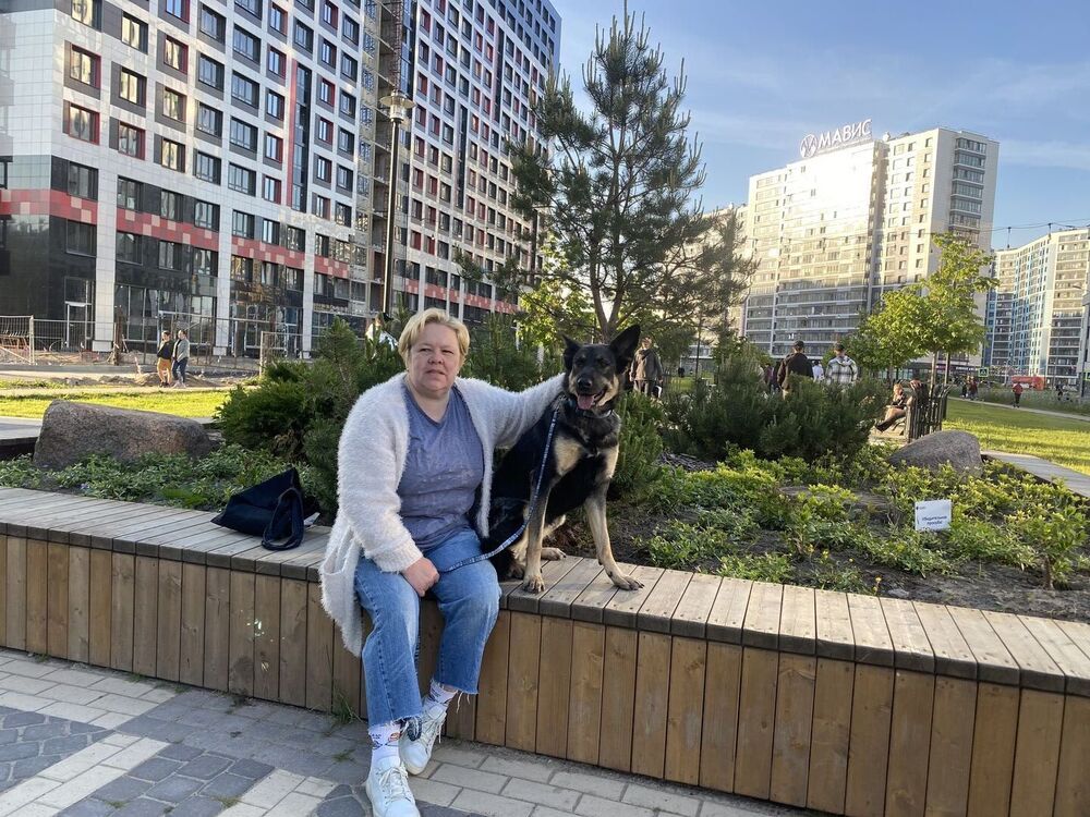  36905545  , 53 ,    -