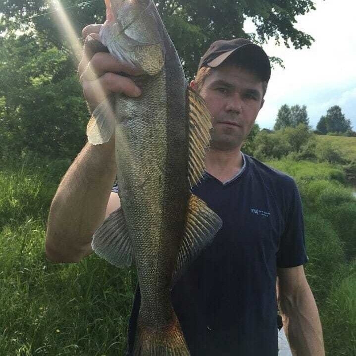 ���� 19389355 ������� ������, 37 ���, ���� ���������� � �����-����������