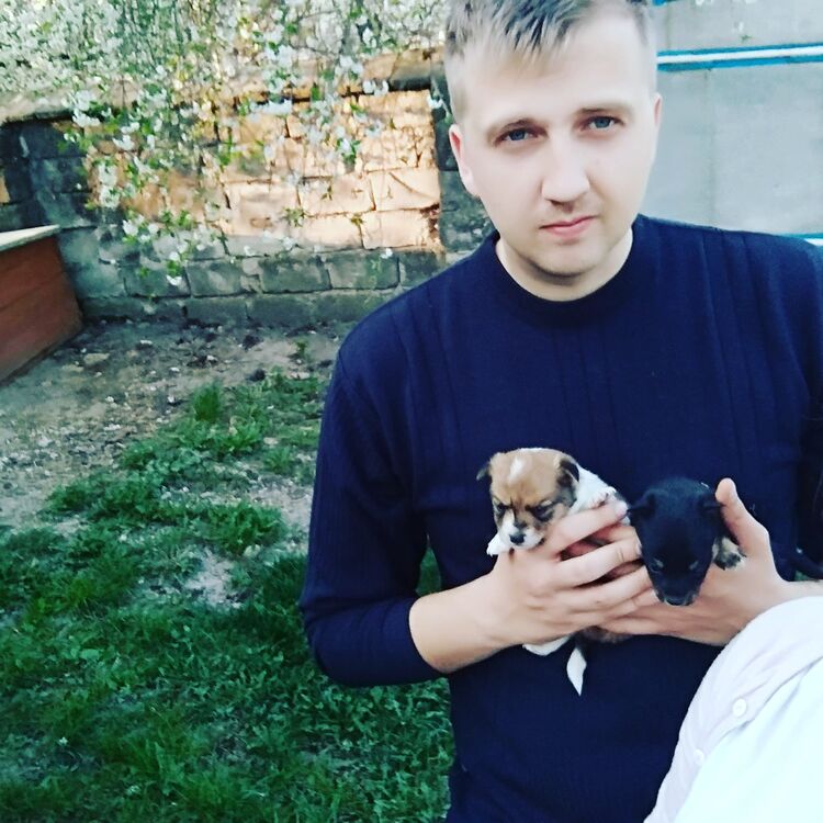 ���� 26944135 ������� �����, 34 ����, ���� ���������� � ��������