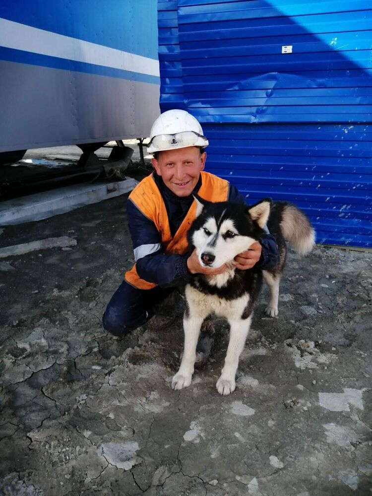 ���� 25461655 ������� ����, 33 ����, ���� ���������� � ��������