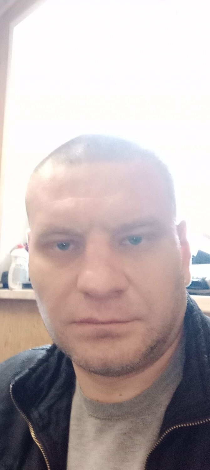  33368895  , 41 ,    
