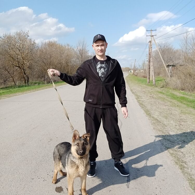 ���� 51443975 ������� ����, 38 ���, ���� ���������� � ��������