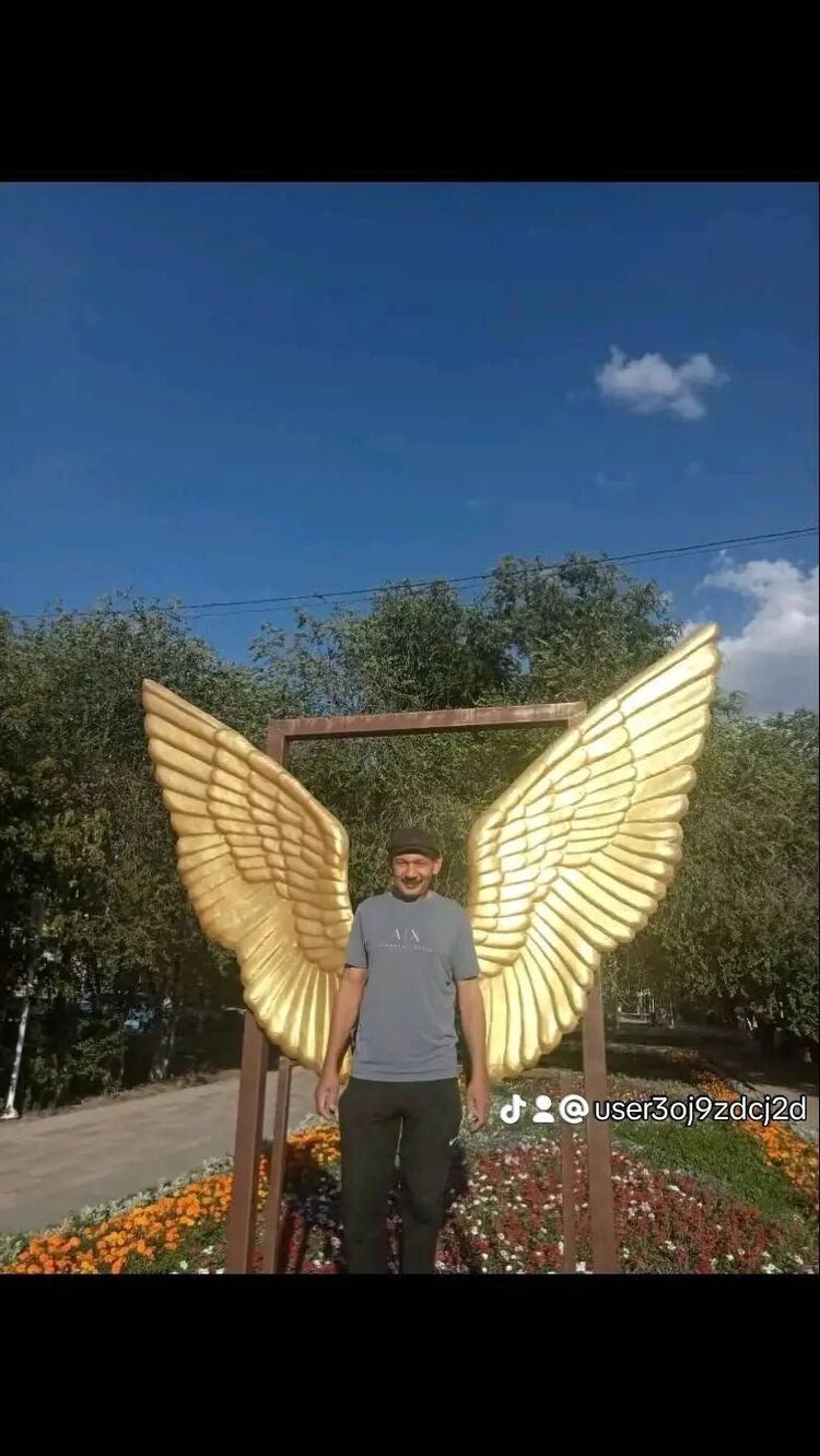  48039465  , 46 ,    