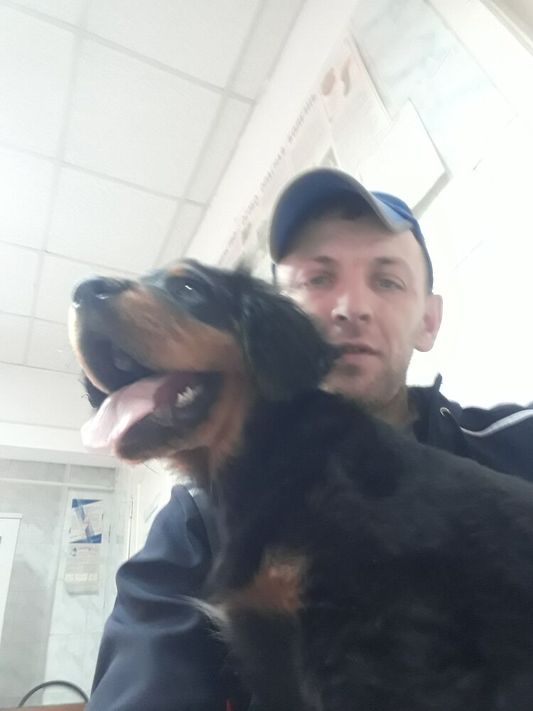  28146085  , 38 ,    